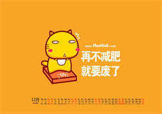 字母圈的代号解释
